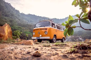 VW Bulli in the forest